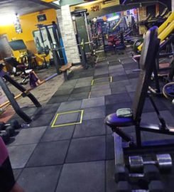 Evolution Fitness