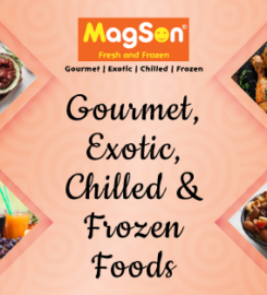 Magson