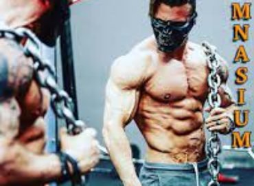 Arnold Gym