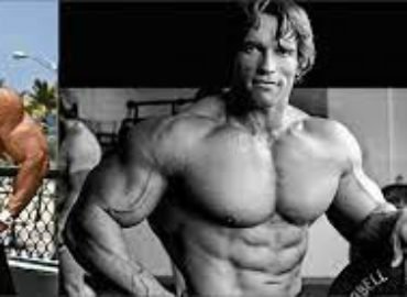 Arnold Gym