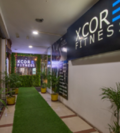 X Core Fitness