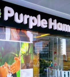 Purple Hammam Spa
