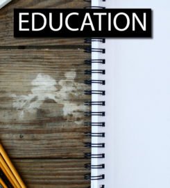 Dream India School
