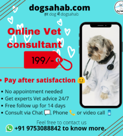 Dogsahab